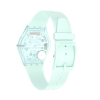 Armbanduhr Swatch Skin in Plastik SS08G100 - SS08G100